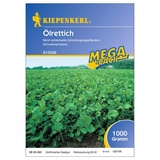 Kiepenkerl Ölrettich 1 kg