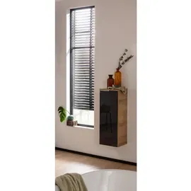Fackelmann B.Brillant Midischrank 30 x 82,6 x 32 cm Anthrazit/Eiche Glas