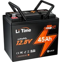Litime 12V 45Ah LiFePO4 Lithium Batterie GU1 Größe für
