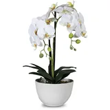 Kunstblume Orchidee 48 cm Kunststoff Beige Creme L (Large)