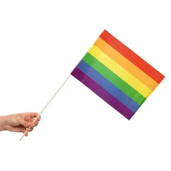 10 Papier Fahnen Regenbogen 20 x 30 cm Handfahnen Pride LGBTQ