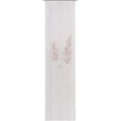 Flächenvorhang SCARLETT taupe - braun