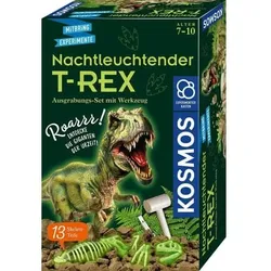 Experimentierset T-Rex nachtleuchtend
