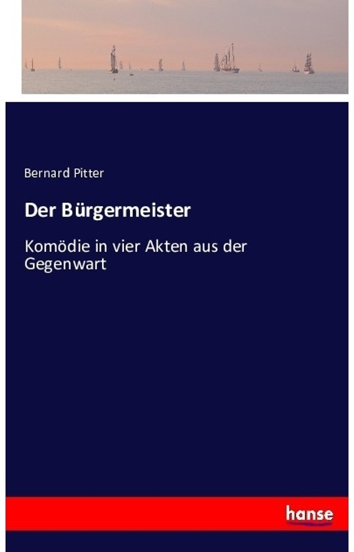 Der Bürgermeister - Bernard Pitter, Kartoniert (TB)
