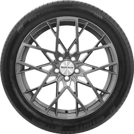 Delinte DS2 225/55 R18 102W