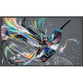 Philips Q-Line 75BDL3650Q, 74.5" (75BDL3650Q/00)