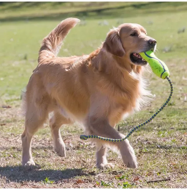 Hundespielzeug Airdog Fetch Stick mit Seil