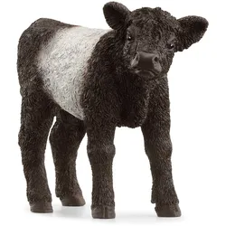 Schleich® 13969 - Galloway Kalb