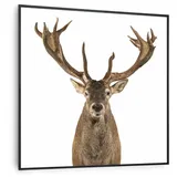 Klarstein Wonderwall Air Art Smart Infrarotheizung Hirsch 60x60cm 350W