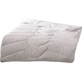 Traumschlaf Traumschlaf, Duvet, Kamelhaar Nature (2550 g, 240 x 220 cm