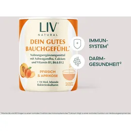 LIV Darmkur Pfirsich Aprikose Pulver 120 g