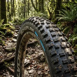 Schwalbe Hans Dampf 24 x 2,35 Zoll Faltreifen black Performance