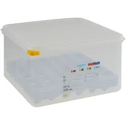 Eier-Box 4 Lagen a 30 Eier