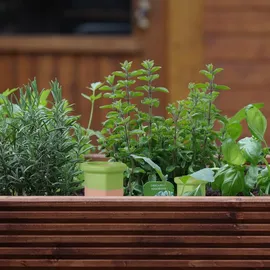 Relaxdays Tonspitzen Bewässerung 4er Set 9,5 x 3 x 3 cm