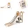 Chipolino Kinderrutsche Ente 170 cm
