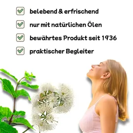 poy-sian 6er Paket - Thailändische Riechstifte - Original aus Thailand - Traditionelle Aromasticks mit ätherischen Ölen - Mentholsticks für die...