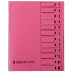 Bene Ordnungsmappe, 12 Fächer, rosa, Vorderdeckel zum Beschriften, 3 Sichtlöcher im Fächerblock