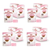 Royal Canin Kitten Instinctive in Soße 48 x 85 g