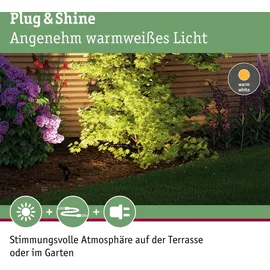 Paulmann Außenstrahler Aluminium 29 cm 1 Stk. IP67 Anthrazit