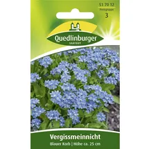 Quedlinburger Saatgut Quedlinburger Vergissmeinnicht Blauer Korb', - Blumensamen