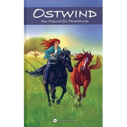 Ein Freund für Feuersturm - Ostwind (Bd. 3)