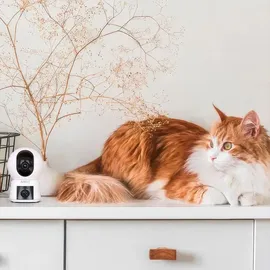 ARENTI P3TT 3 MP WLAN Weiß