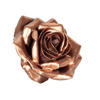 Flowerbox Wachsrose 12er-Set - beige
