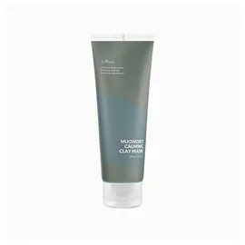 Isntree Mugwort Clay Mask