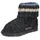 HAFLINGER Paul grau 24