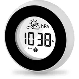 Raddy WT-2 Fensterthermometer mit Luftdruck & Wettervorhersage, Magnetische Halterung, Digitaler Temperaturmonitor für Innen & Außen, Transparentes LCD-Display, IPX4 Wetterfest (Weiß)
