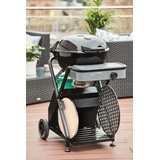 Outdoorchef Ambri 480 G Evo