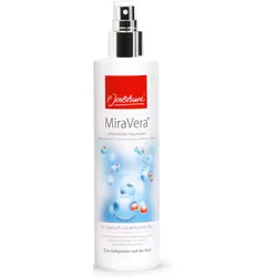 Mittagspause Bio-Teebeutel