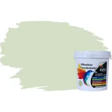 RyFo Colors Fassadenfarbe Silikonharz Fassadenfarbe Hellminze 1l, 1 L ca. 6 m2, Wasserabweisend, diffusionsfähig, schützt vor Schmutz, Algen, Pilzen grün