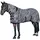 Horse Guard Fliegendecke Zebra 125 cm Bunt