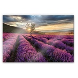 wall-art Küchenrückwand »Lavendel Blumen in der Provence«, (1 tlg.), Herd Waschbecken Wandschutz, bunt