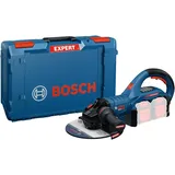 Bosch EXPERT EXWS18V2-230P Akku-Winkelschleifer