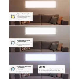 Müller-Licht Calida Switch Tone 20700013 Nicht kategorisiert