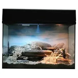 Lucky Reptile Terrarium-Starter Kit Schwarz 50 x 40 x 28 cm