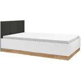 ml meble Torino 1202 120x200 Einzelbett mit gepolstertem Velour-Kopfteil,