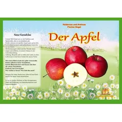 Natur-Kamishibai / Naturkamishibai - Der Apfel