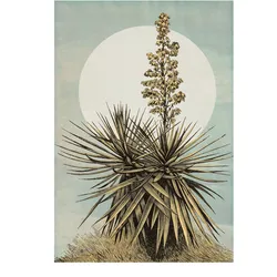 Bild KOMAR "Plans de Lagon", bunt (farbe bild(er): bunt), B:50cm H:70cm, Papier, Holz, Bilder, Wandbild zur Dekoration - ohne Rahmen