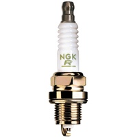 NGK Central Power Sys/Brigg 3961 1 Stück