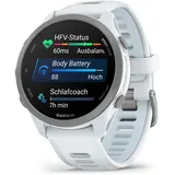 Garmin Forerunner 170 Music Steinweiss/Pudergrau Smarte GPS Laufuhr