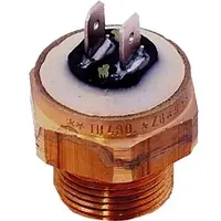 WOLF-Garten Wolf Sicherungsthermostat Pumpe 95C für BVG-23/30