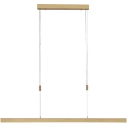 LED Pendelleuchte, messing matt, lineares, filigranes Design, Touchdimmer