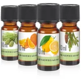 Höfer Chemie 4x 10 ml 4x Duftöl-Set 1