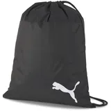 Puma TeamGOAL Schwarz/Weiß
