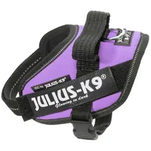 Julius-K9 Julius K-9 Idc® Power Baby Hundegeschirr - Purple - Baby 1