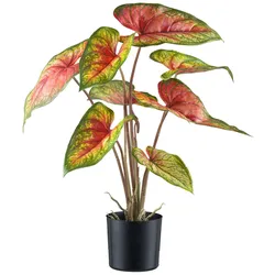 Creativ green Kunstblume »Caladium«, mit außergewöhnlicher Farbgebung Creativ green grünrot