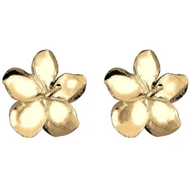 Elli Ohrringe, 925 Silber Frangipani Blüte Blume Filigran gold, | Gr.: onesize,